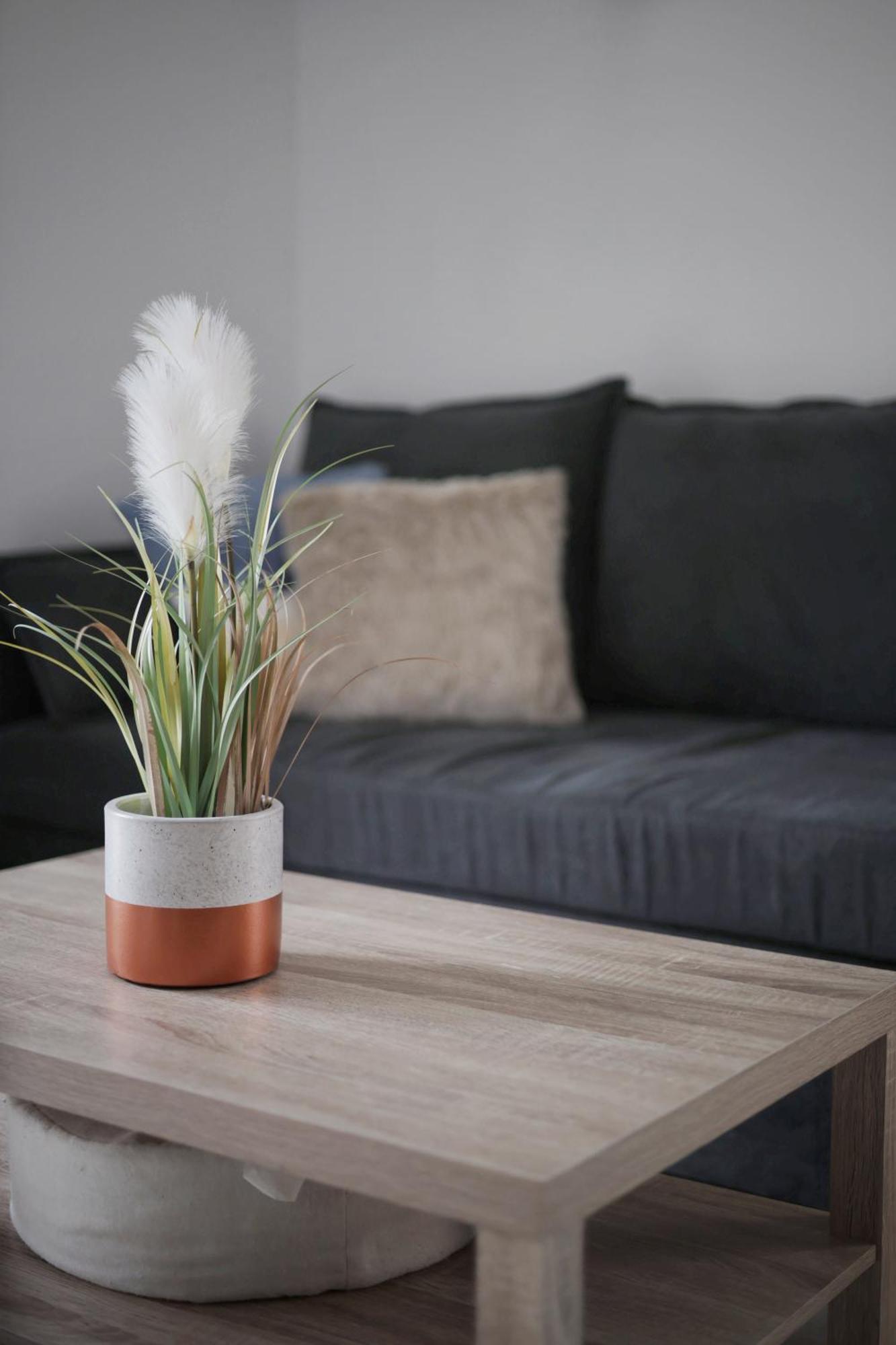 Appartement Familial Avec Jardin Ensoleille Dans La Cite Des Potiers Vallauris Eksteriør billede